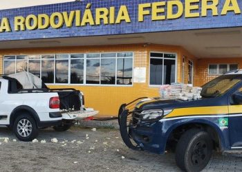 PRF na Bahia apreende 48 kg de drogas escondidas em veículo, na cidade de Jeremoabo (BA)
