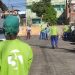 Secretaria de Serviços Públicos remove árvores às margens da BR-367 que comprometiam segurança da população