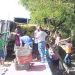 Carga alta, pode ter sido a causa de o caminhão tombar na BR 367