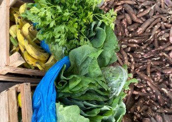Alimenta Brasil em Porto Seguro se destaca pela qualidade e logística eficiente