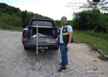 Tartaruga marinha debilitada não resiste em praia da Orla Norte de Porto Seguro