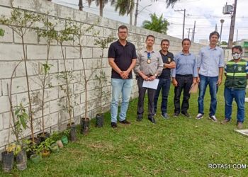 Secretaria de Meio Ambiente e Causa Animal apoia arborização na DISEP