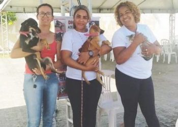 FEIRA DE ADOÇÃO DE ANIMAIS: mais sete pets ganharam novos lares
