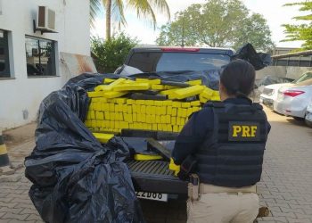 Quase 700 Kg de maconha foram apreendidos nas regiões Oeste e Sudoeste da Bahia