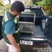 ATOBÁ-PARDO É RESGATADO NA PASSARELA DA CULTURA