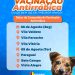 Chegou a vez de proteger nossos fiéis companheiros