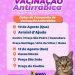 Chegou a vez de proteger nossos fiéis companheiros