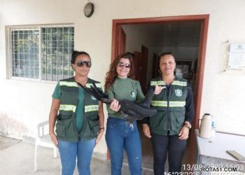 AVE FRAGATA É RESGATADA EM PRAIA DE TRANCOSO