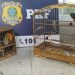 POLICIA RODOVIÁRIA FEDERAL, UM TRBALHO DIÁRIO MAS COM RESULTADOS POSITIVOS.