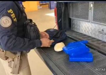 Cães farejadores deram o maior prejuízo a traficantes, cocaína e maconha foram pro depósito, traficantes para o xilimdró