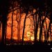 Eventos climáticos extremos — o que esperar do futuro?