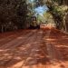 PREFEITURA ANUNCIA PAVIMENTAÇÃO COM ASFALTO ECOLÓGICO NO ACESSO ÀS PRAIAS DE TRANCOSO