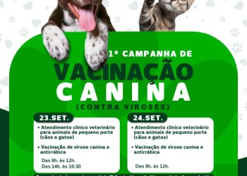 SAÚDE DOS PETS
