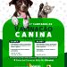 SAÚDE DOS PETS