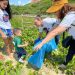 Porto Seguro participa do Dia Mundial da Limpeza