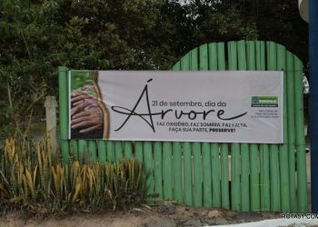 Comemoração do Dia da Árvore e a prefeita Cordélia inaugura rua no bairro Moises Reis.