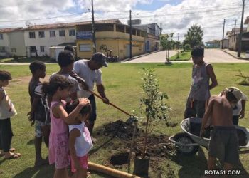 Porto Seguro Verde: projeto de arborização contempla Praça da Vila Valdete