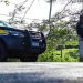 De cavalo a maconha a POLÍCIA RODOVIÁRIA FEDERAL não deixa passar nada.