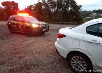 De pássaros a porte ilegal de armas, a PRF, mantém a segurança nas estradas e rodovias.