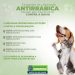 Eunápolis: Campanha de Vacinação Antirrábica é prorrogada até dia 30 de setembro