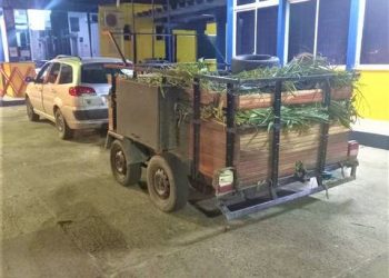 PRF  acaba com a festa do “Rei dos Caranguejos”, o negócio agora é só as “piabinhas”.