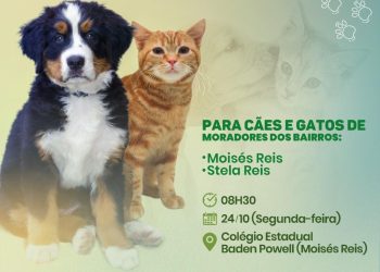 Prefeitura de Eunápolis promove agendamento de castração de animais nesta segunda-feira