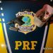 Porte ilegal, apreensão de pássaros, carros roubados, a PRF de olho aberto prende tudo e todos.