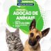 Prefeitura de Eunápolis realiza 2ª Feira de Adoção com animais resgatados neste sábado