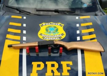 A PRF entra no mato e pega a onça a unha, e coloca tudo na mesma jaula.
