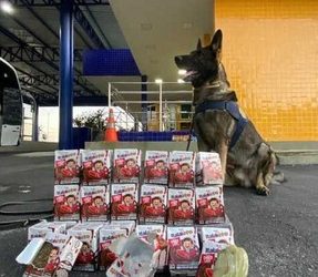 PRF apreende maconha e cocaína escondidas em embalagens de achocolatado em Vitória da Conquista (BA); Veja o vídeo