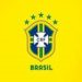 CAIU A FICHA, a seleção brasileira não jogou pelo Brasil, jogou pra eles mesmos.