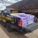 PRF apreende 680 kg de maconha sendo transportada em caminhão na BR 116 em Feira de Santana (BA)