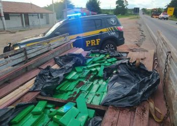 De pássaros e drogas, a PRF tem um conselho, ou faz a coisa certa, ou vai pro xilindró, nós damos a carona.