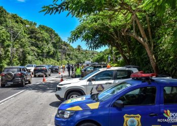 Força-tarefa completa 15 dias de ações bem-sucedidas pela cidade