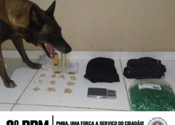 8° BPM APREENDE NOVA QUANTIDADE DE DROGAS, EM PORTO SEGURO