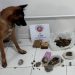 EM APOIO A OPERAÇÃO DO GAECO, PELOTÃO DE OPERAÇÕES COM CÃES DO 8° BPM AUXILIA NA APREENSÃO DE DROGAS, EM PORTO SEGURO