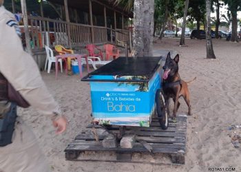 CÃO POLICIAL DO 8° BPM AJUDA EM NOVA APREENSÃO DE DROGAS, EM PORTO SEGURO