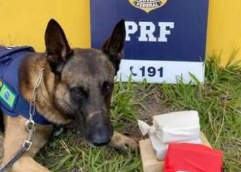 Nas estradas e rodovias federais, é a PRF quem cuida e dá conta.