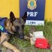 Nas estradas e rodovias federais, é a PRF quem cuida e dá conta.