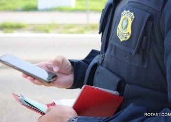 Recuperação de carros e motos roubados, tráfico de pássaros, dentre outras ocorrências, esta é a ação da PRF.
