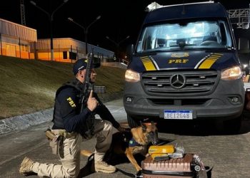 Cada um tenta como pode, a PRF prende do jeito que dá certo, escreveu não leu, pau comeu.