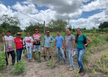 Agricultura realiza visita técnica no meio rural para acompanhar produção dos agricultores cadastrados no PAA