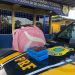 POLÍCIA RODOVIÁRIA FEDERAL, uma força de segurança e um trabalho que tem que ser respeitado.