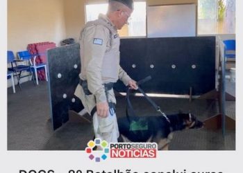 DOGS – 8º Batalhão conclui curso de Ações com Cães Farejadores