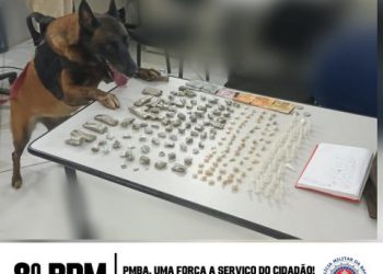 8° BPM FAZ APREENSÃO DE DROGAS, EM PORTO SEGURO, COM NOVO AUXÍLIO DOS CÃES POLICIAIS