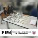 8° BPM FAZ APREENSÃO DE DROGAS, EM PORTO SEGURO, COM NOVO AUXÍLIO DOS CÃES POLICIAIS