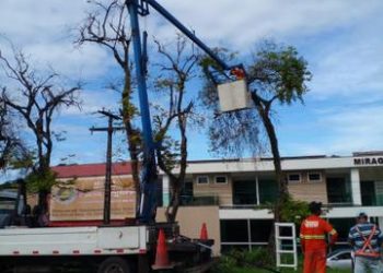 Trevo do Cabral e a Estrada da Balsa recebem mutirão de Paisagismo