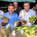 ORLA NORTE GANHA FEIRA LIVRE NA ROTATÓRIA 2