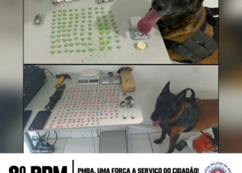 CÃES POLICIAIS DO 8° BPM AUXILIAM NA APREENSÃO DE DROGAS, EM PORTO SEGURO