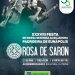Prefeitura de Eunápolis confirma banda Rosa de Saron na Festa da Padroeira